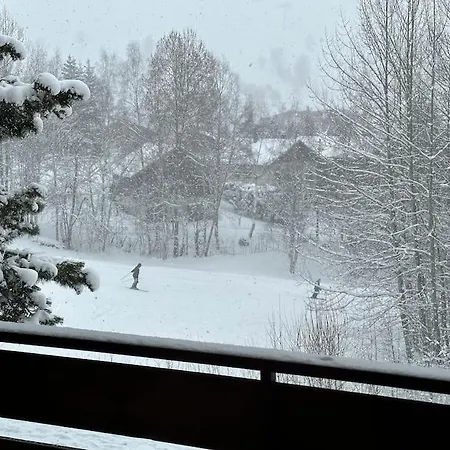 La Montagne 2 Alpes 12 Pers Standing Skis Au Pied