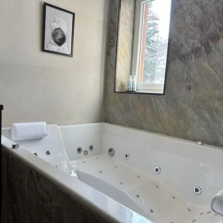 La Montagne 2 Alpes 12 Pers Standing Skis Au Pied アパート レ・デュー・アルプ