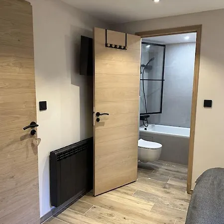 Apartment La Montagne 2 Alpes 12 Pers Standing Skis Au Pied Les Deux Alpes
