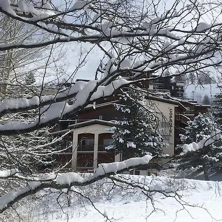 La Montagne 2 Alpes 12 Pers Standing Skis Au Pied *