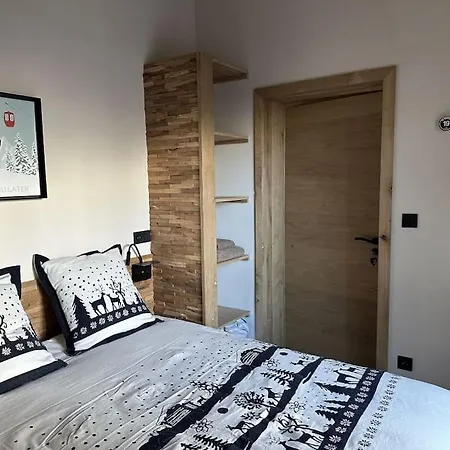 La Montagne 2 Alpes 12 Pers Standing Skis Au Pied