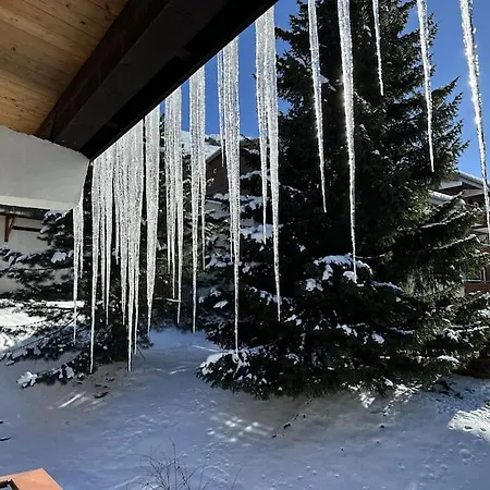 La Montagne 2 Alpes 12 Pers Standing Skis Au Pied アパート *