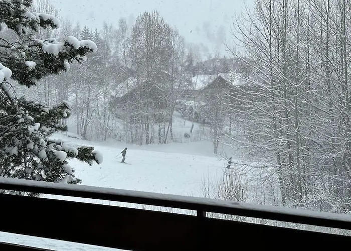 La Montagne 2 Alpes 12 Pers Standing Skis Au Pied