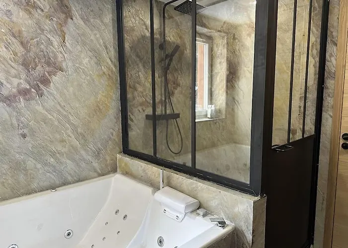 Daire La Montagne 2 Alpes 12 Pers Standing Skis Au Pied Les Deux Alpes