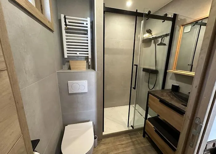 La Montagne 2 Alpes 12 Pers Standing Skis Au Pied Daire Les Deux Alpes