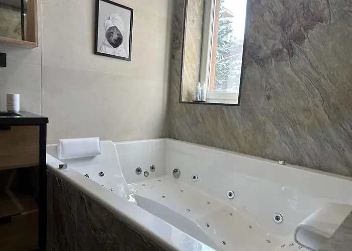 La Montagne 2 Alpes 12 Pers Standing Skis Au Pied Daire Les Deux Alpes