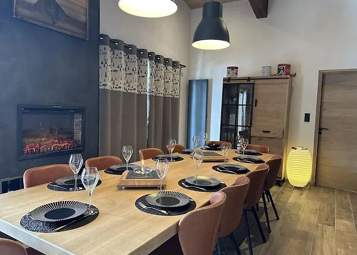 La Montagne 2 Alpes 12 Pers Standing Skis Au Pied Les Deux Alpes