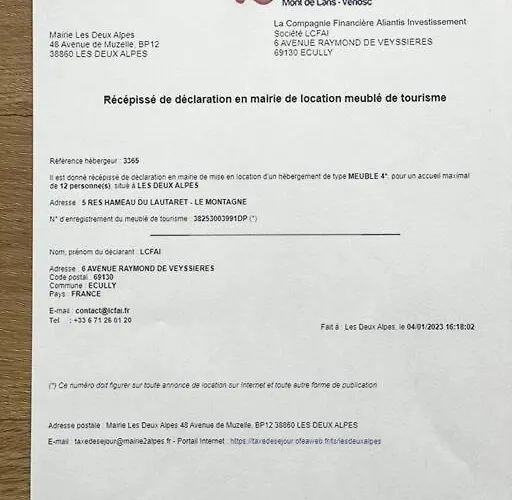 La Montagne 2 Alpes 12 Pers Standing Skis Au Pied Daire