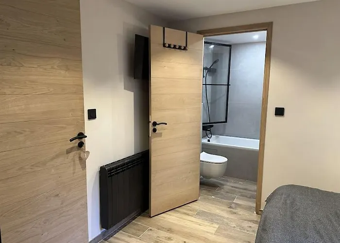 Daire La Montagne 2 Alpes 12 Pers Standing Skis Au Pied Les Deux Alpes