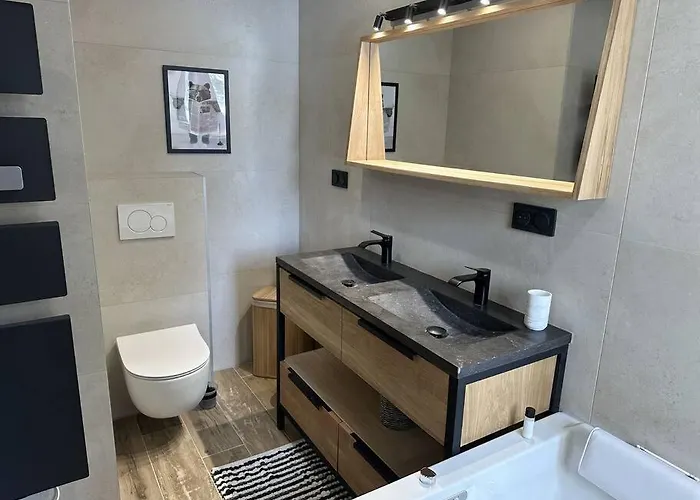 La Montagne 2 Alpes 12 Pers Standing Skis Au Pied *