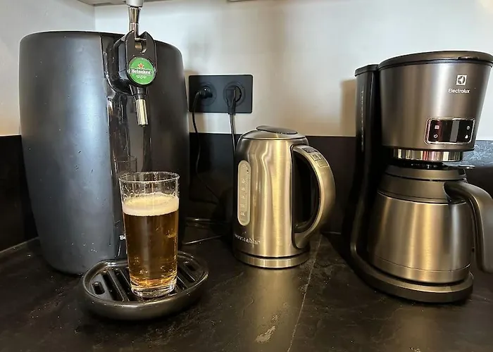 La Montagne 2 Alpes 12 Pers Standing Skis Au Pied Daire Les Deux Alpes