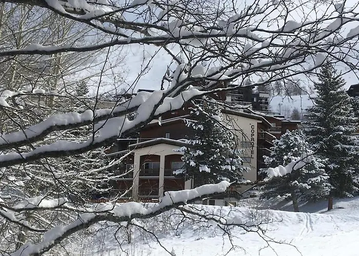 La Montagne 2 Alpes 12 Pers Standing Skis Au Pied *