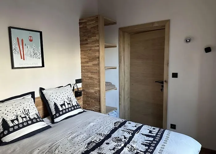 La Montagne 2 Alpes 12 Pers Standing Skis Au Pied