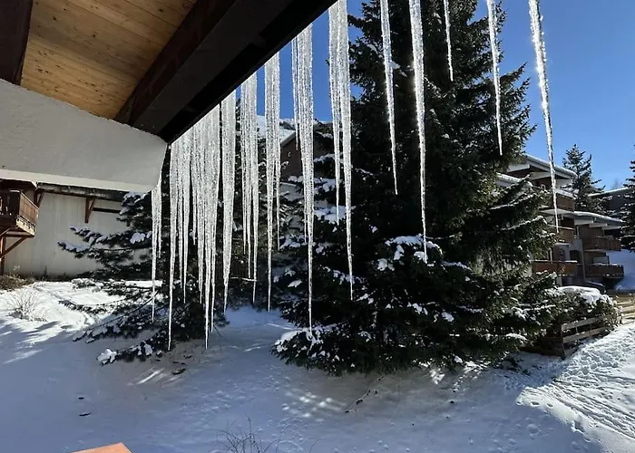 La Montagne 2 Alpes 12 Pers Standing Skis Au Pied Daire *