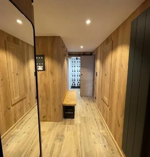 Daire La Montagne 2 Alpes 12 Pers Standing Skis Au Pied Les Deux Alpes