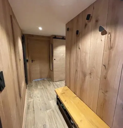 La Montagne 2 Alpes 12 Pers Standing Skis Au Pied Daire Les Deux Alpes